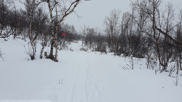 rueckweg richtung abisko turiststation