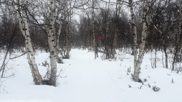 rueckweg richtung abisko turiststation