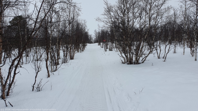 rueckweg vom windschutz nissonjohka zur abisko turiststation