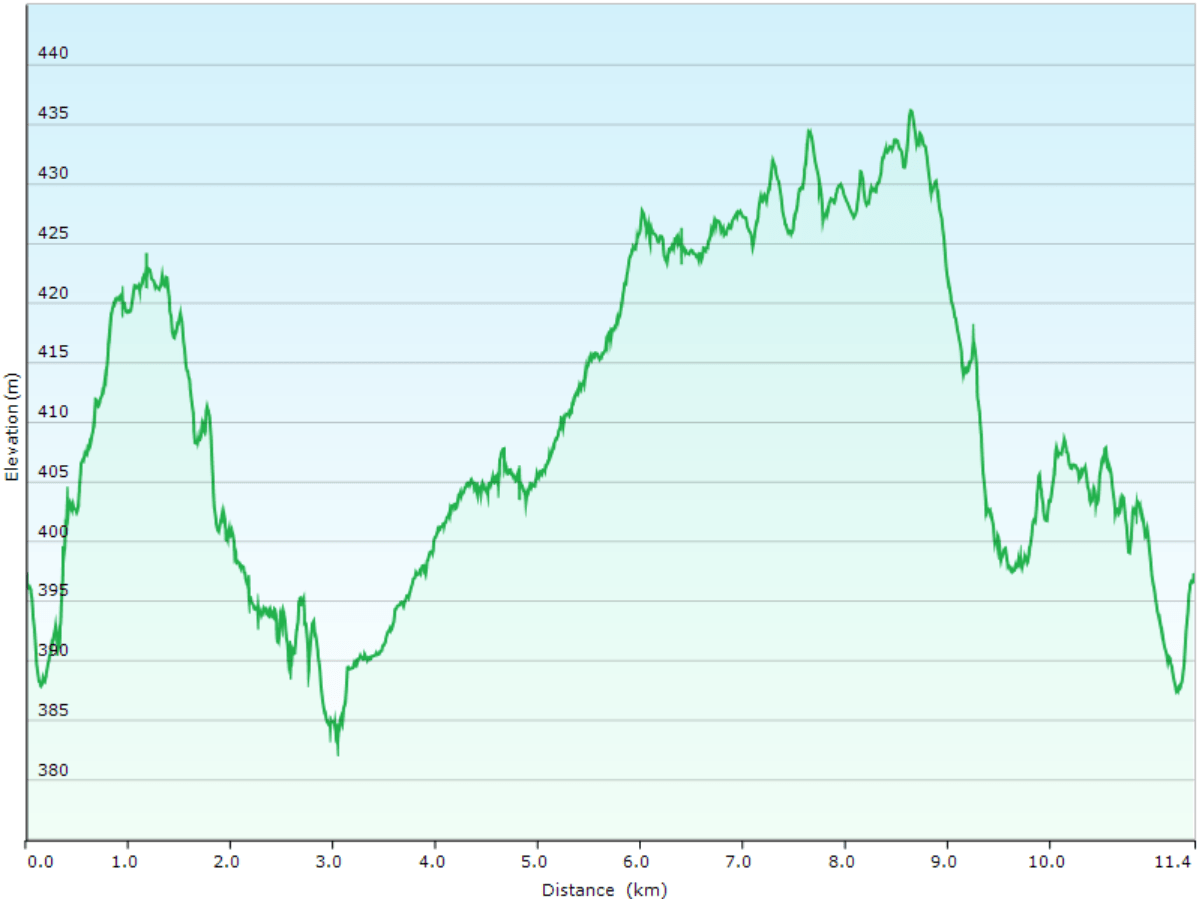 hoehenprofil waldskilaufen von der abisko turiststation zum windschutz nissonjohka und zurueck