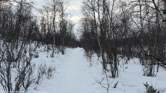 winterlicher kungsleden zwischen abisko und abiskojaure