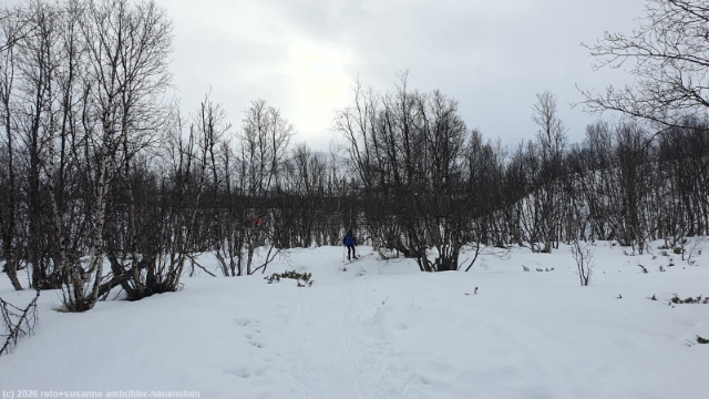 unterwegs mit waldskis auf dem winterlichen kungsleden