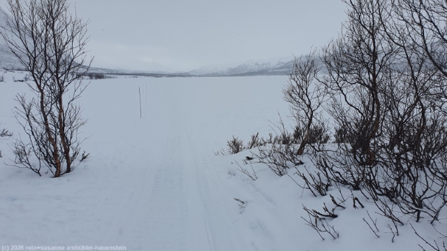 skispuren am nordoestlichen ende des abiskojaure