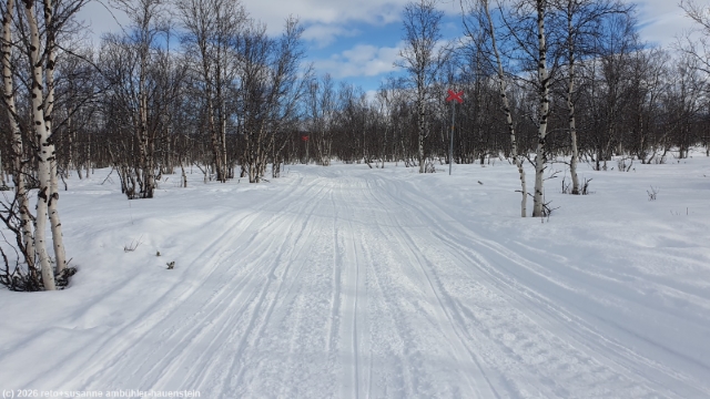 winterlicher kungsleden zurueck nach abisko