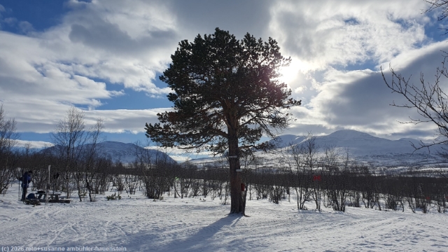 rastplatz apelsintallen
