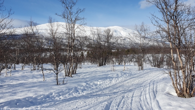 winterweg vom rastplatz apelsintallen nach abisko