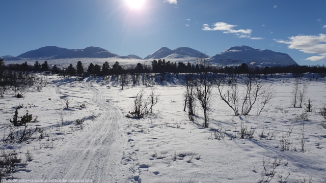 winterweg vom rastplatz apelsintallen nach abisko