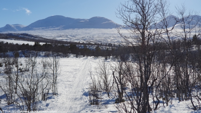 winterweg vom rastplatz apelsintallen nach abisko